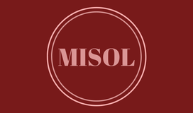 miisol.cl